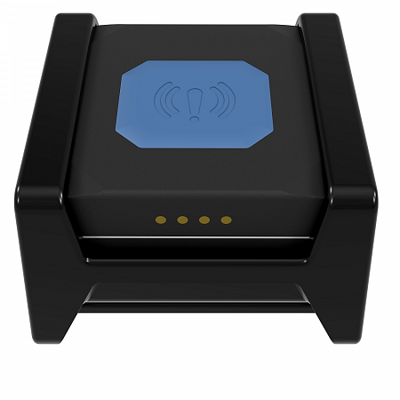 Teltonika	TMT250